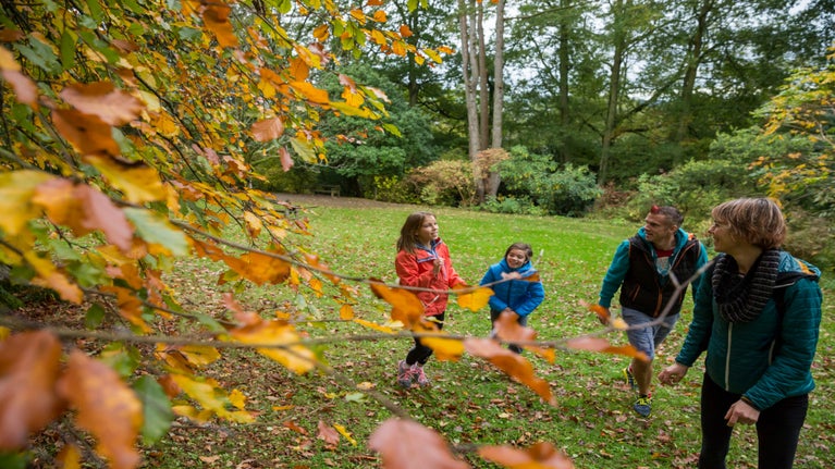 A family of two adults and two children laughing, with autumn tree colour